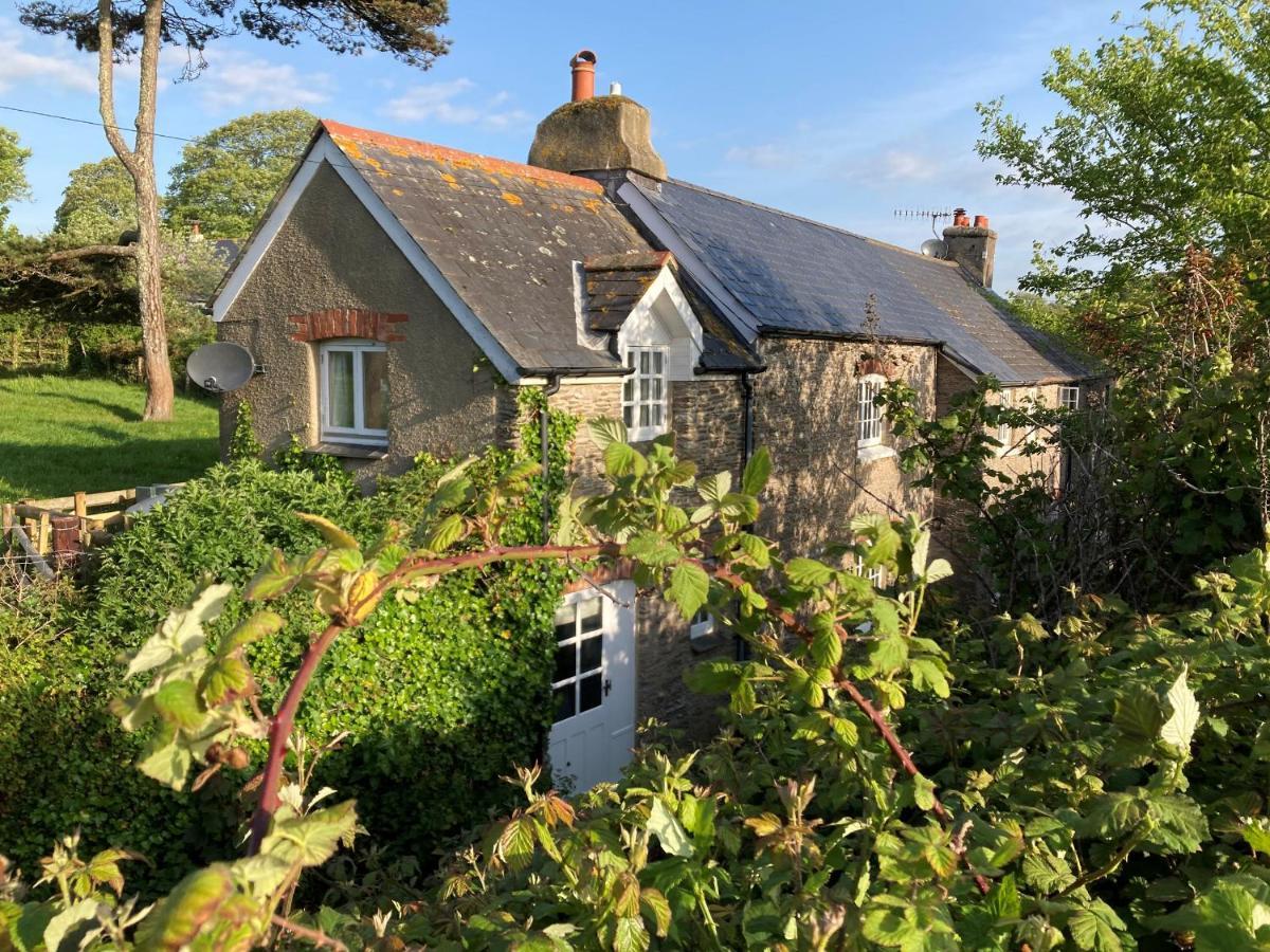 Yew Tree Cottage 다트머스 외부 사진